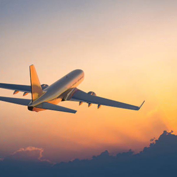 The Ultimate Guide to Business Class Flights to New Delhi 